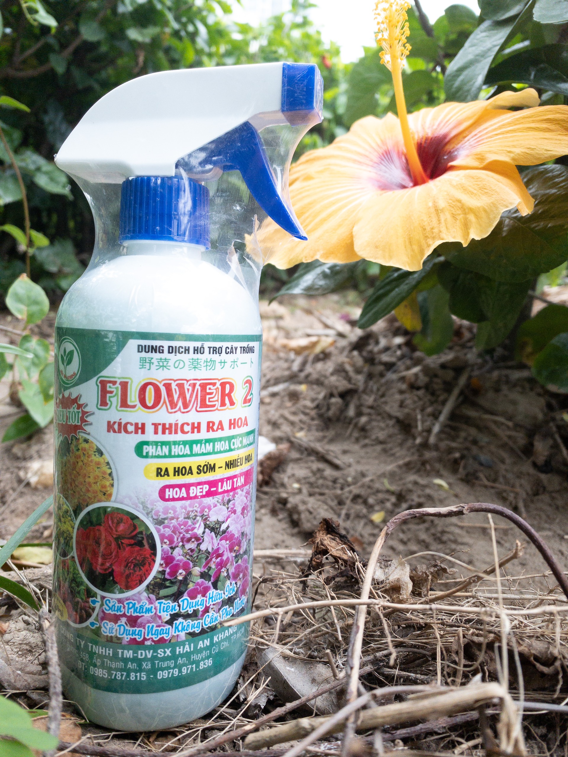 COMBO 2 chai Dung dịch hỗ trợ cây trồng FLOWER 1 và FLOWER 2 - kích thích ra hoa Đầm chồi mạnh - Đẻ nhánh khỏe
