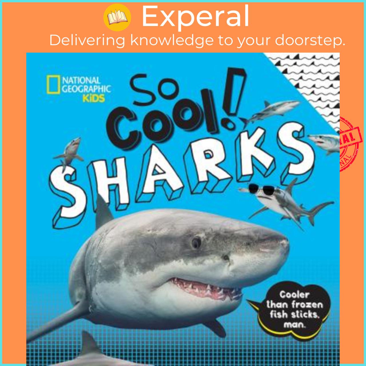 Hình ảnh Sách - So Cool! Sharks by National Geographic Kids (US edition, hardcover)