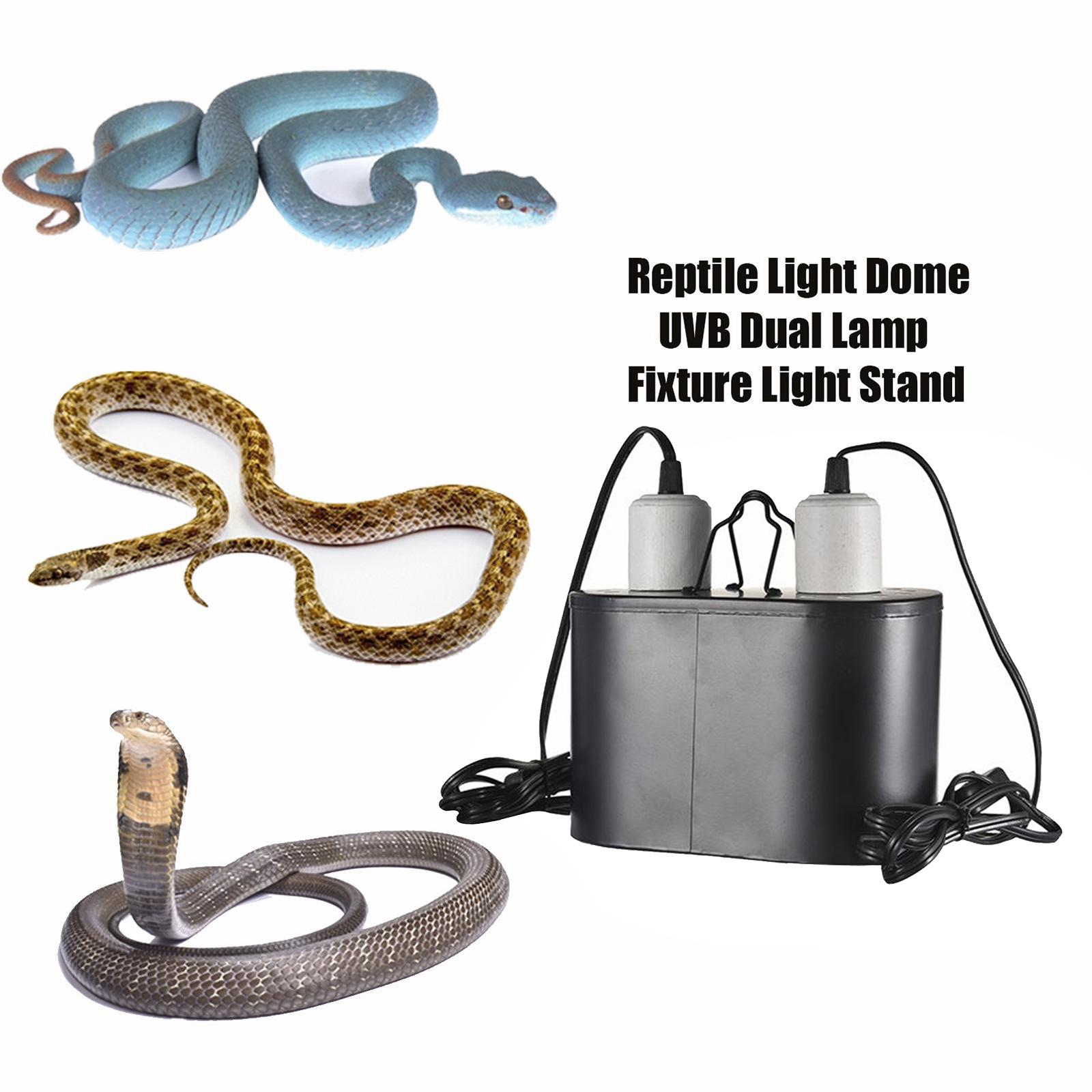 Reptile Heat Lamp Base, Basking Spot Lamp Holder & 2 Switches, UVA UVB Reptile Lamp Fixture E27 Holder for Lizard Turtle Snake Amphibian & Aquarium