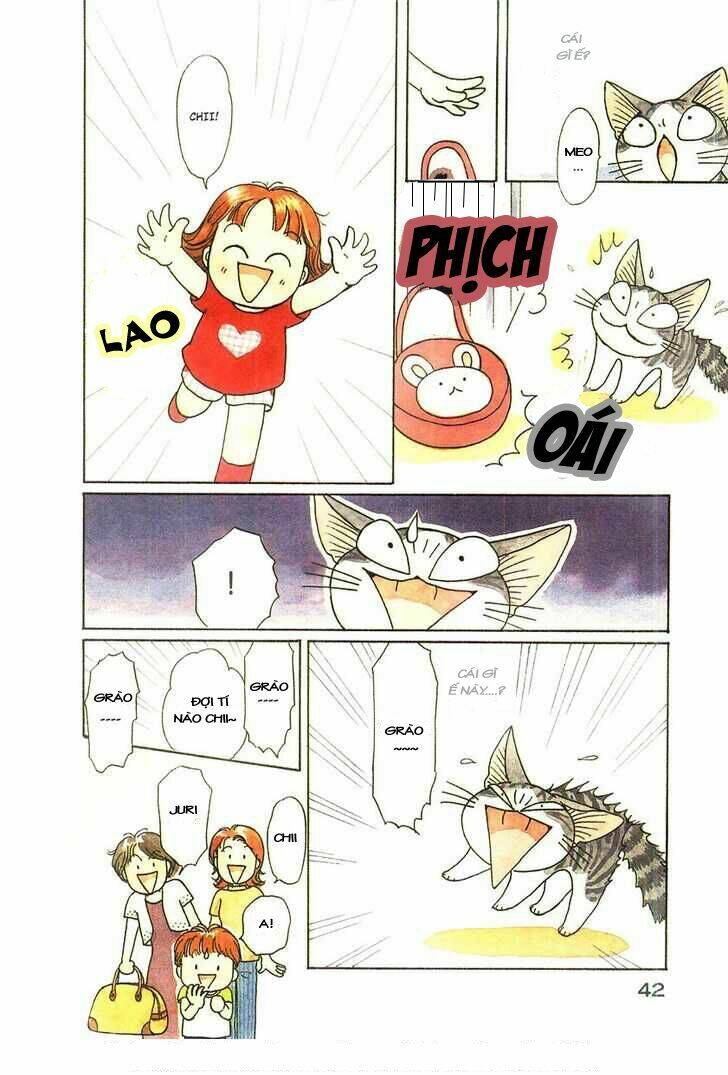 chi's sweet home chapter 44 3