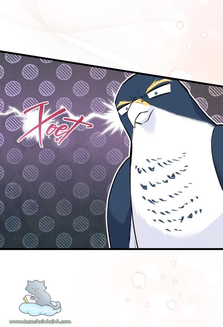 quan hệ cộng sinh giữa báo đen và thỏ trắng chapter 57 9