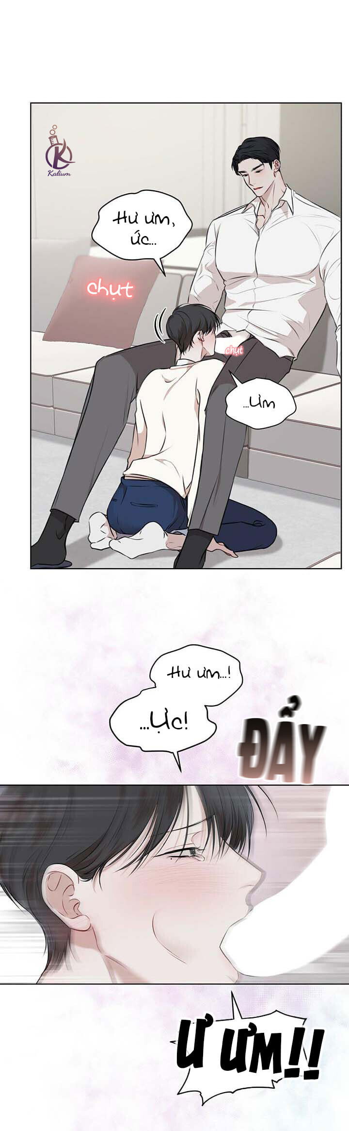 hình thái khởi sinh chapter 22 15