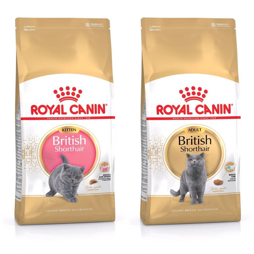 (2kg) Hạt khô Royal Canin British shorthair cho mèo (kitten/adult)