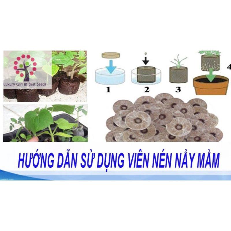 Viên Nén Xơ Dừa Ươm Hạt Giống [COMBO 20 Viên] Tiện Lợi - Shop Phân Bón và Hạt Giống