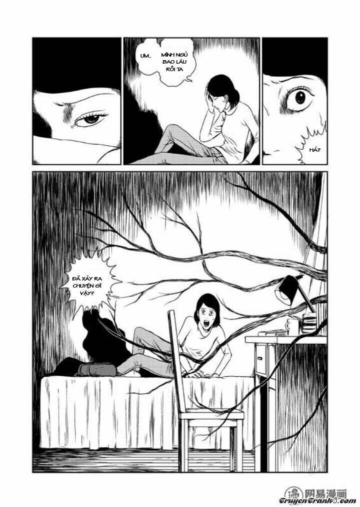 tổ chim chapter 1 18