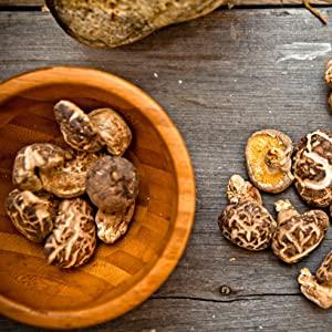 shiitake