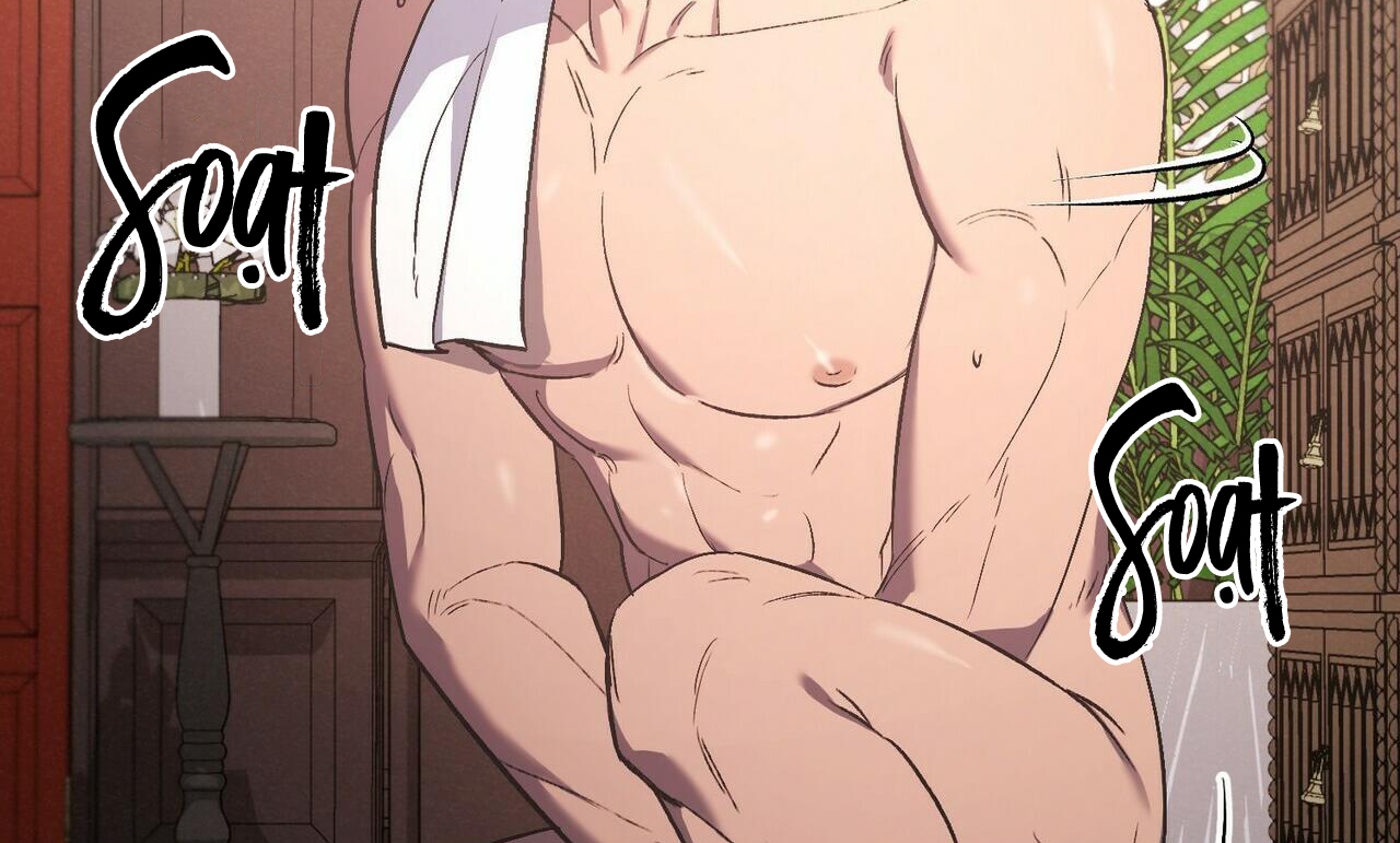 chàng dâu nhà họ kang chapter 25 98