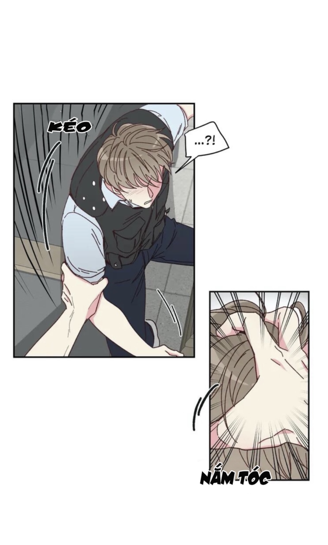 món tráng miệng của sếp tổng chapter 1 17