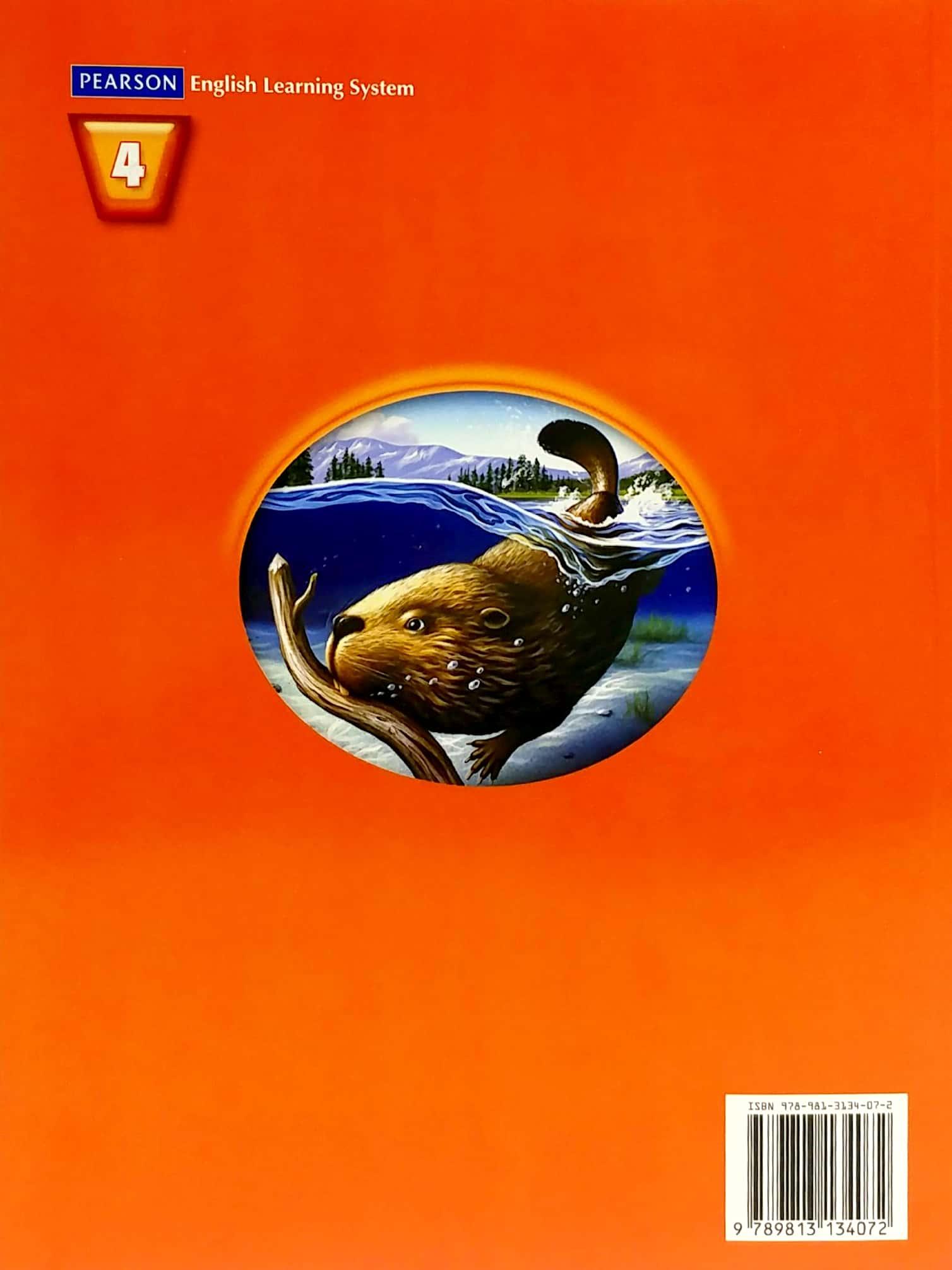 Sách ngoại văn: Cornerstone 2013 Workbook Book Grade 4