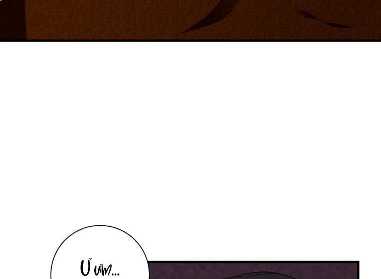 [18+] tôi đã kết hôn với kẻ thù giết cha mẹ chapter 28.2 38