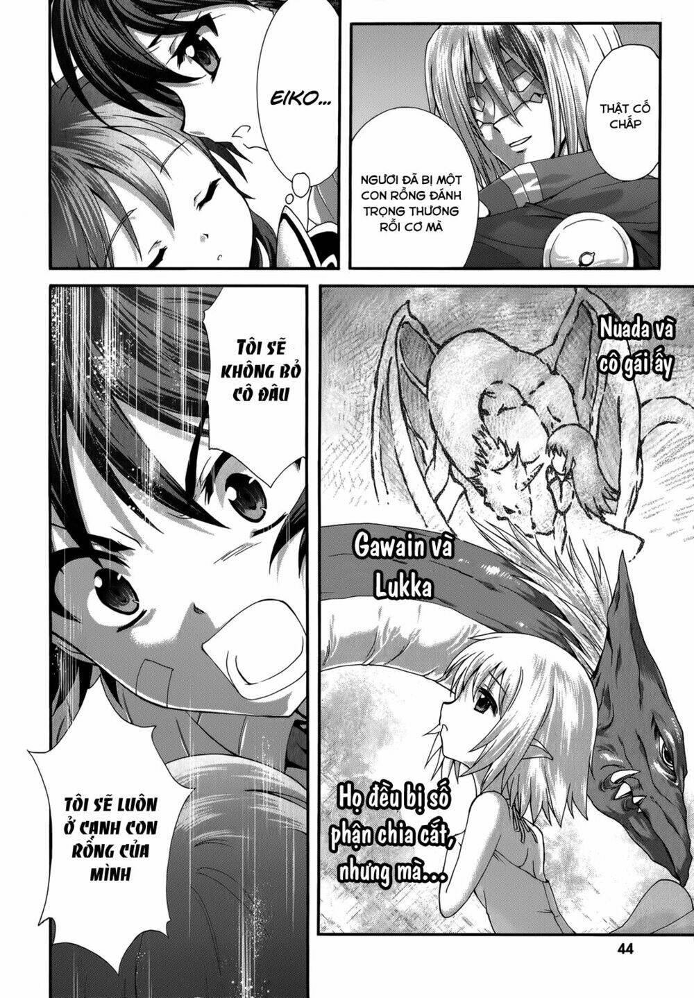 seikoku no dragonar chapter 22 12