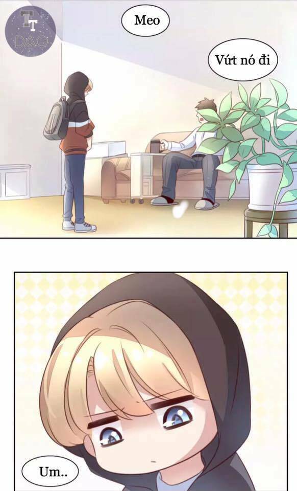 dưới móng vuốt mèo chapter 21 6