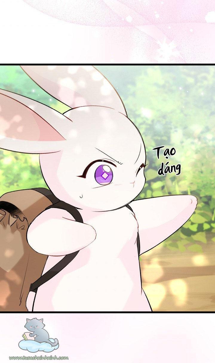 quan hệ cộng sinh giữa báo đen và thỏ trắng chapter 61 44
