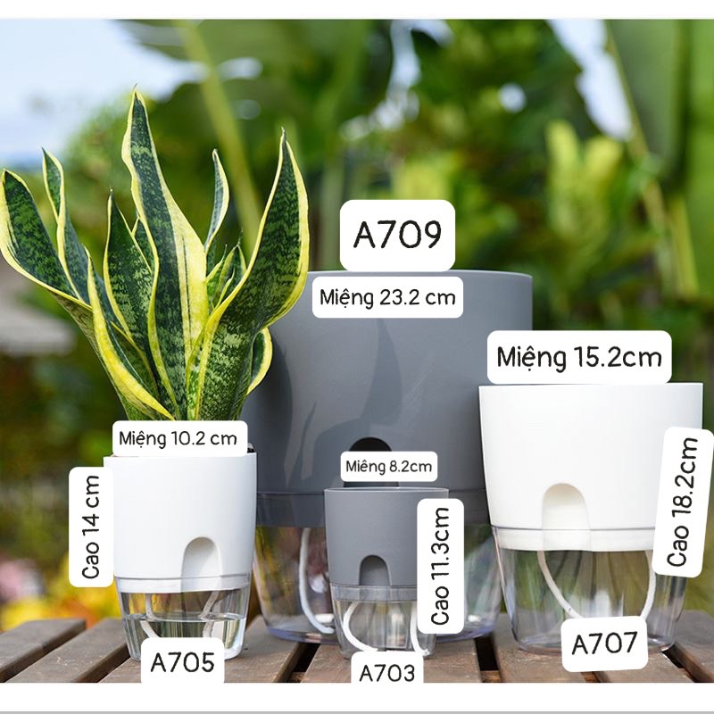 Chậu Trồng Cây Thuỷ Sinh Để Bàn - tự tưới nước cho cây. Trang trí văn phòng, bàn làm việc