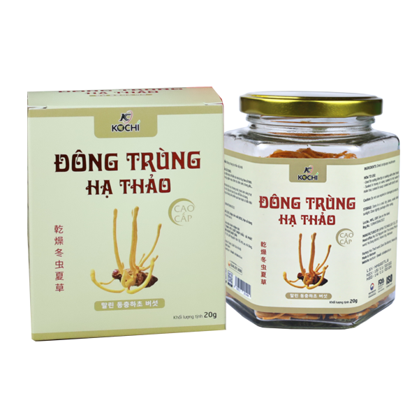 Đông trùng hạ thảo KOCHI cao cấp Hộp 20g