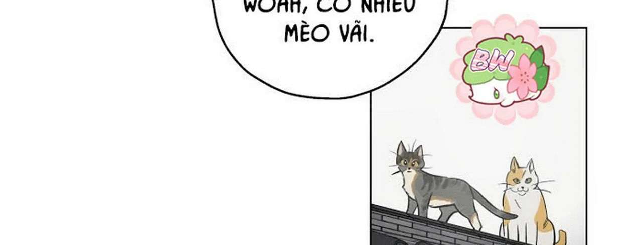 chuyện quái gì với giấc mơ đó vậy chapter 1 97