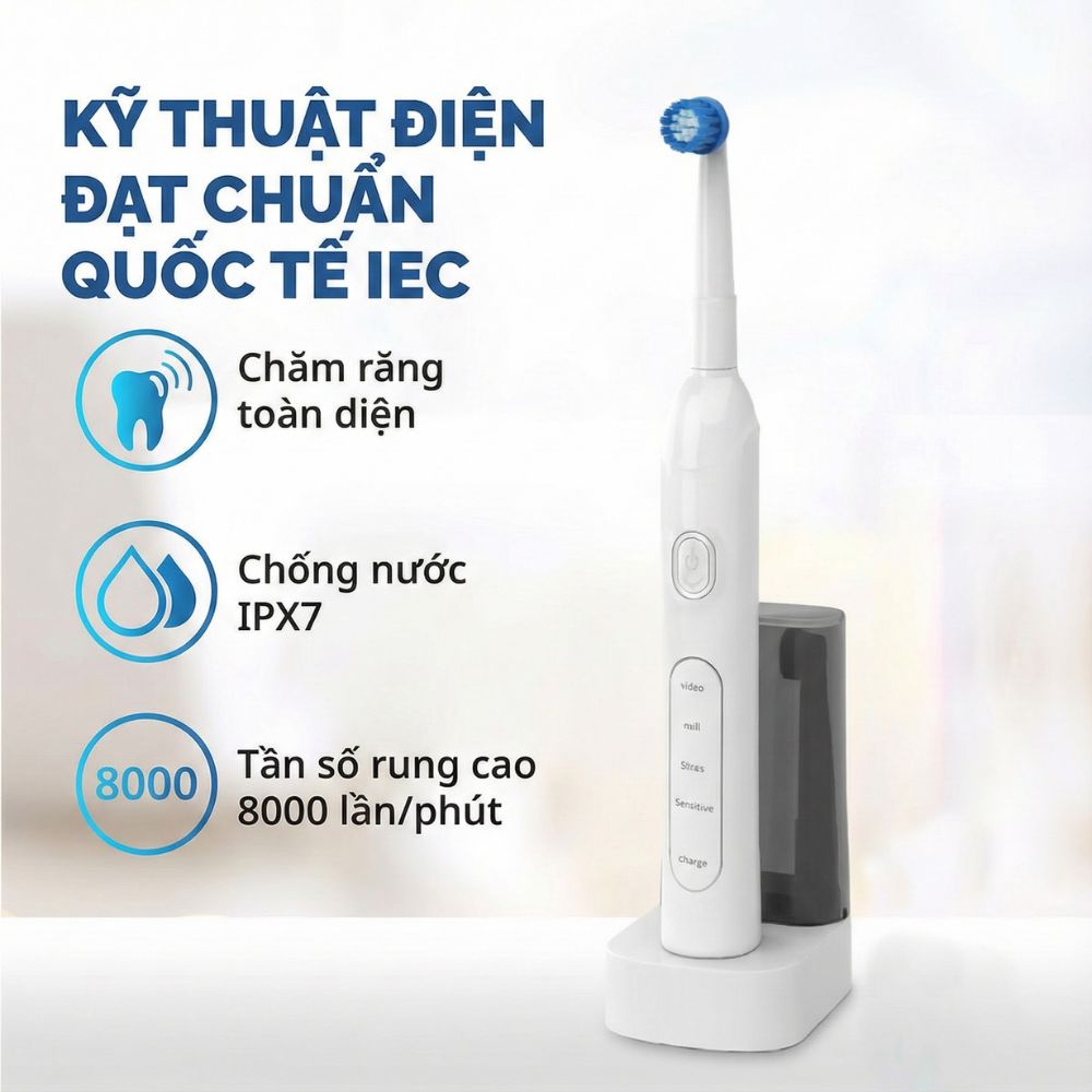 Bàn chải điện đầu xoay tròn Kachi MK361 kèm đế sạc không dây và 2 đầu bàn chải