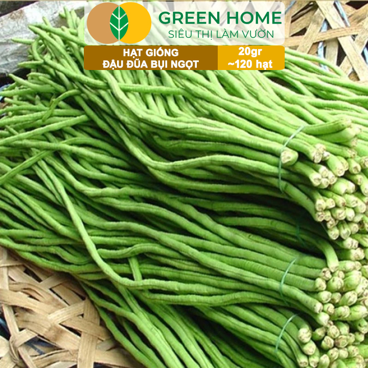 Hạt Giống Đậu Đũa Ngọt Lùn, Greenhome, Gói 20GR~120 hạt, Dễ Trồng Quanh Năm, Nảy Mầm Cao, T37