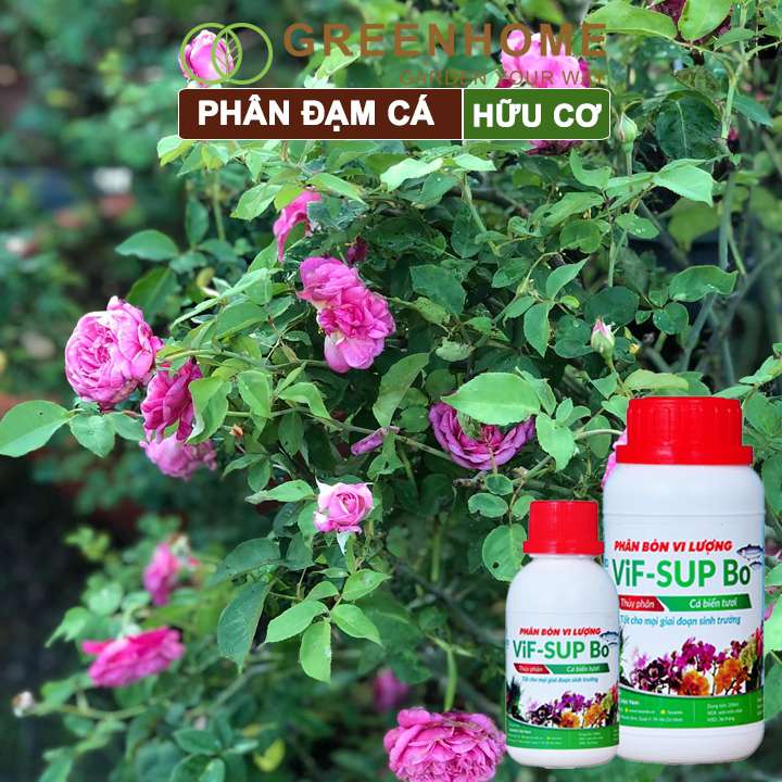 Phân đạm cá Lavamix, chai 100ml, hữu cơ cho cây khoẻ, rể khoẻ, siêu chồi và hoa