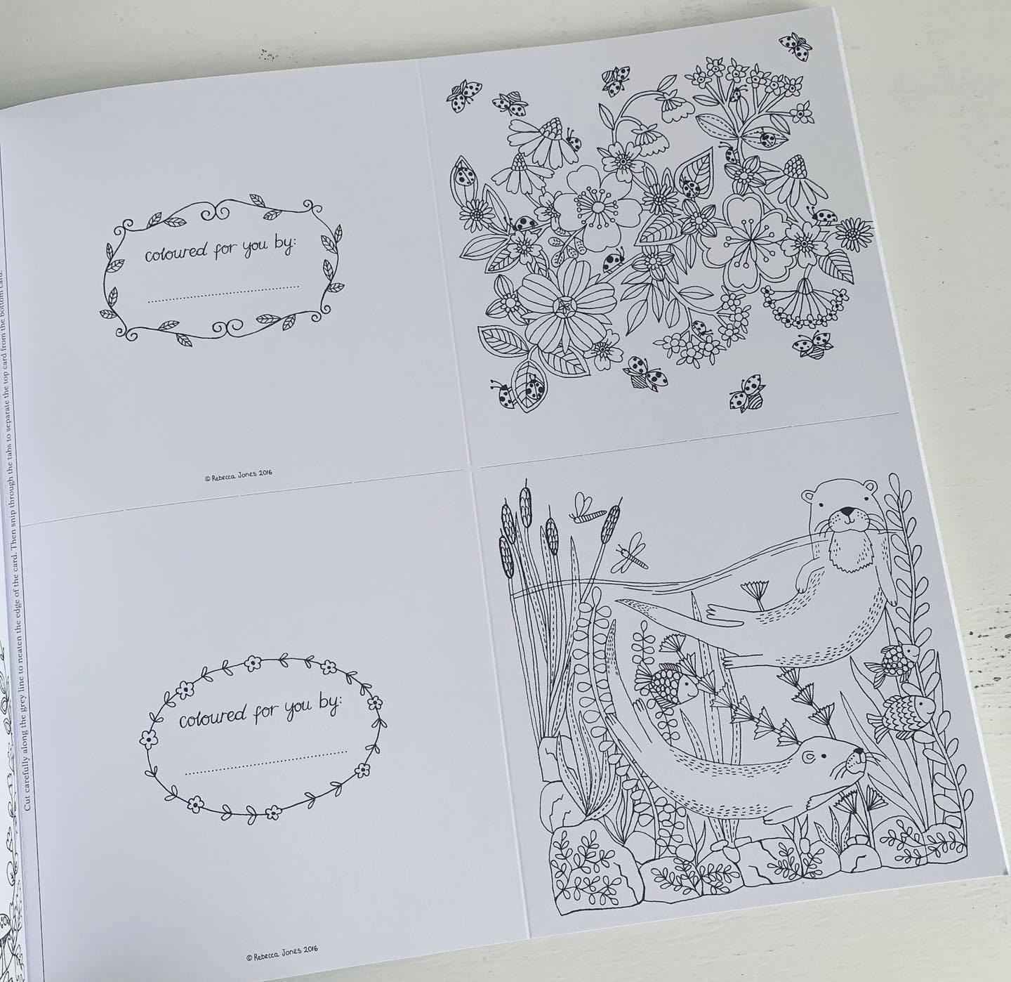 National Trust: The Colouring Book of Cards and Envelopes - Nature