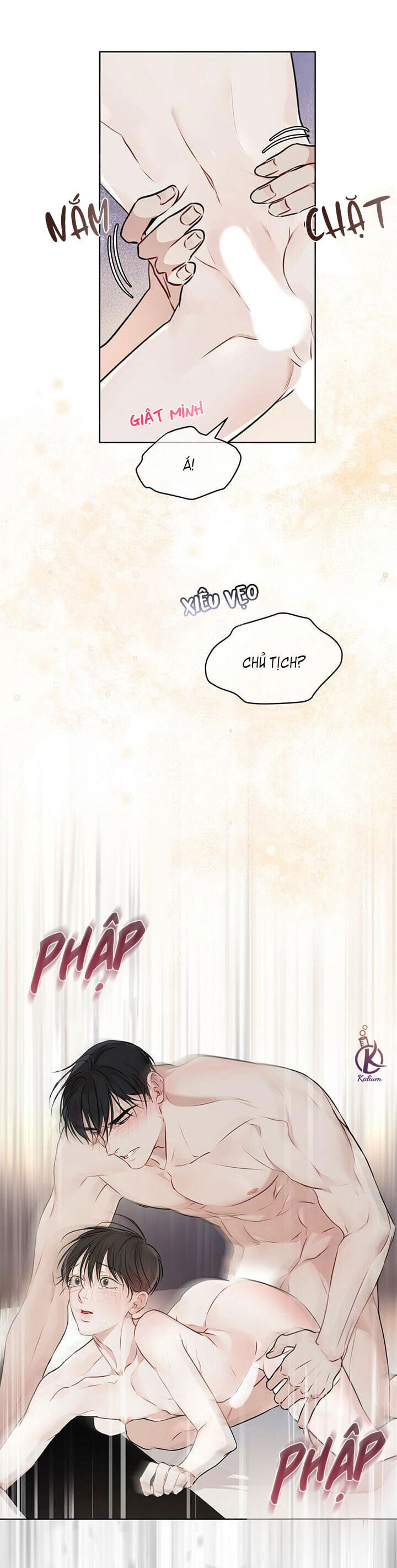 hình thái khởi sinh chapter 28 32