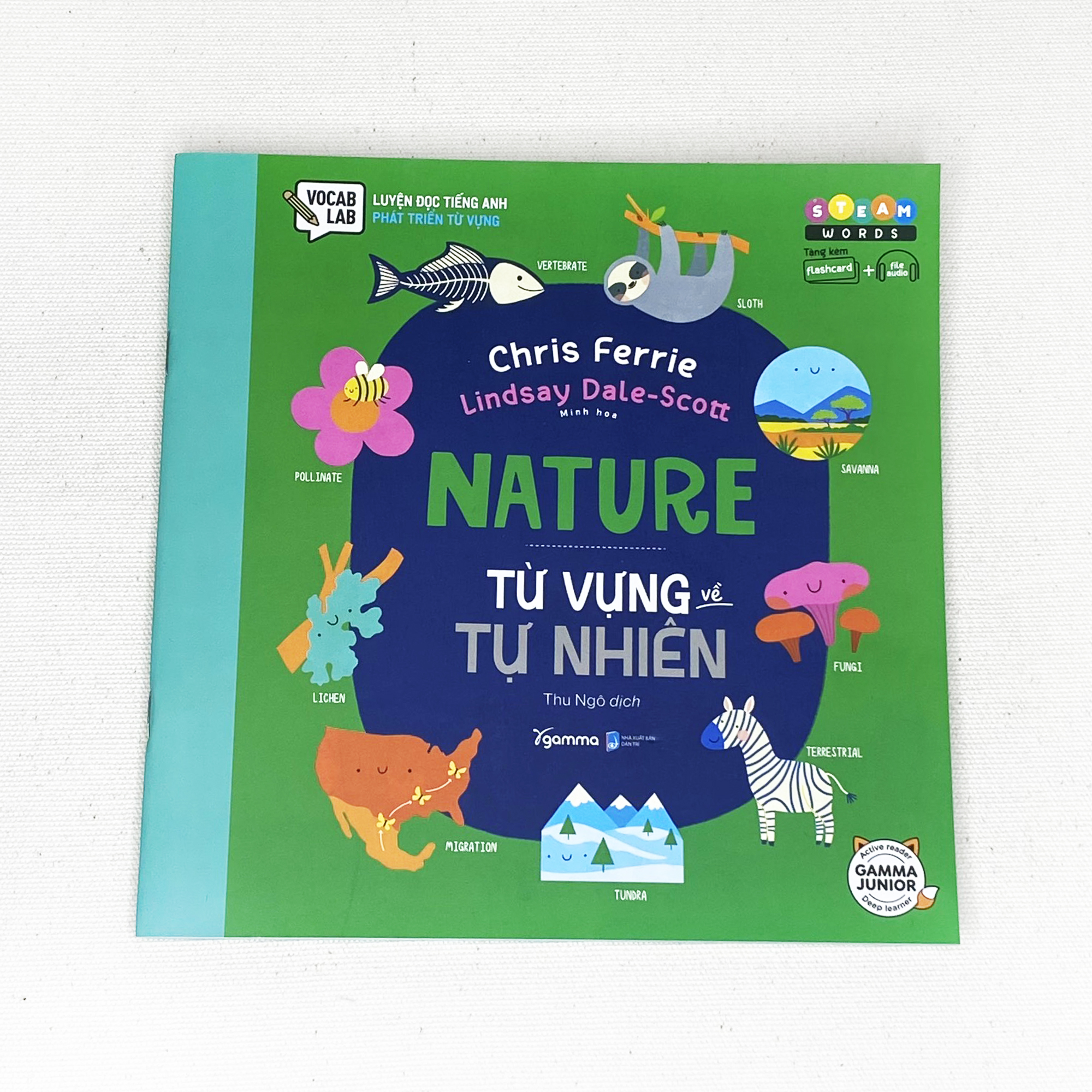 Bộ Sách STEAM Words