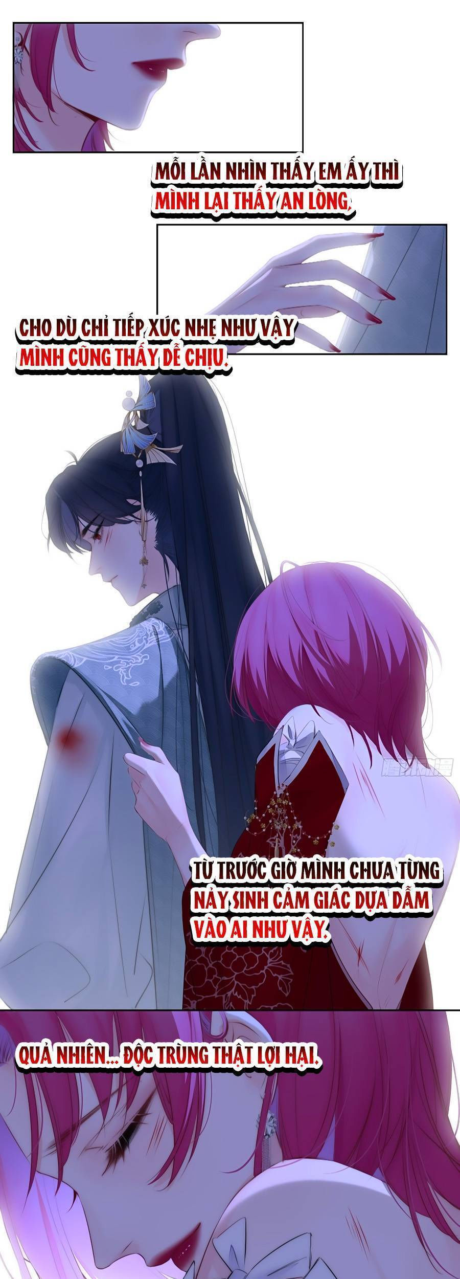 kim ốc tàng kiều chapter 78 12