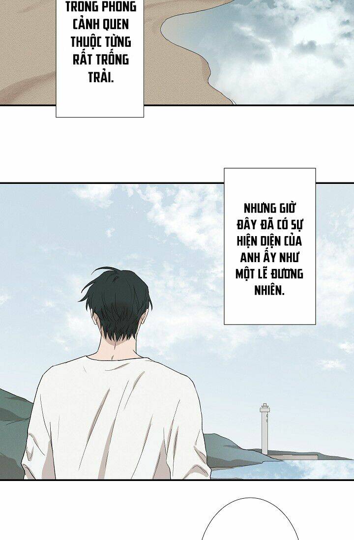 trốn tìm chapter 35 41