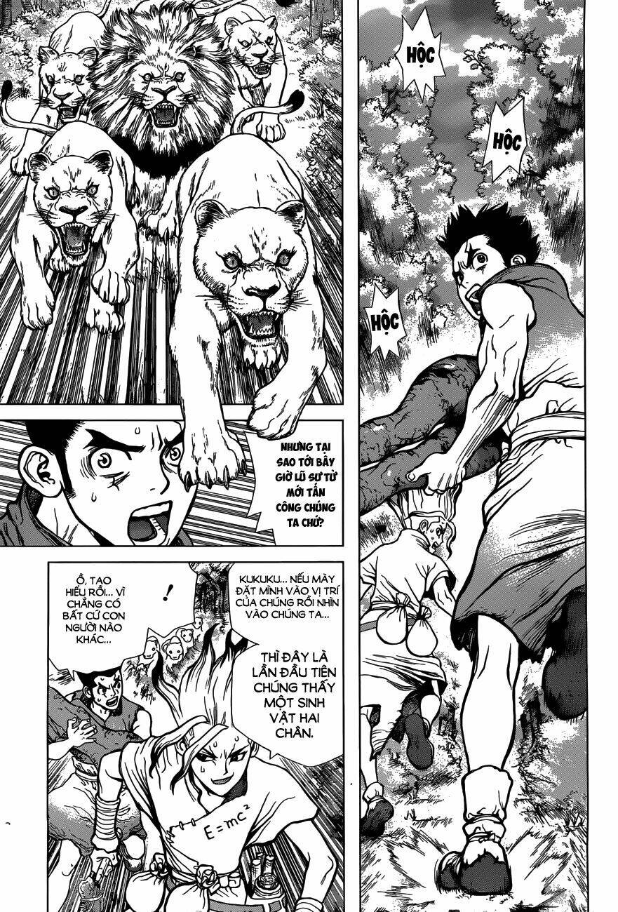 dr.stone - hồi sinh thế giới chapter 3 11