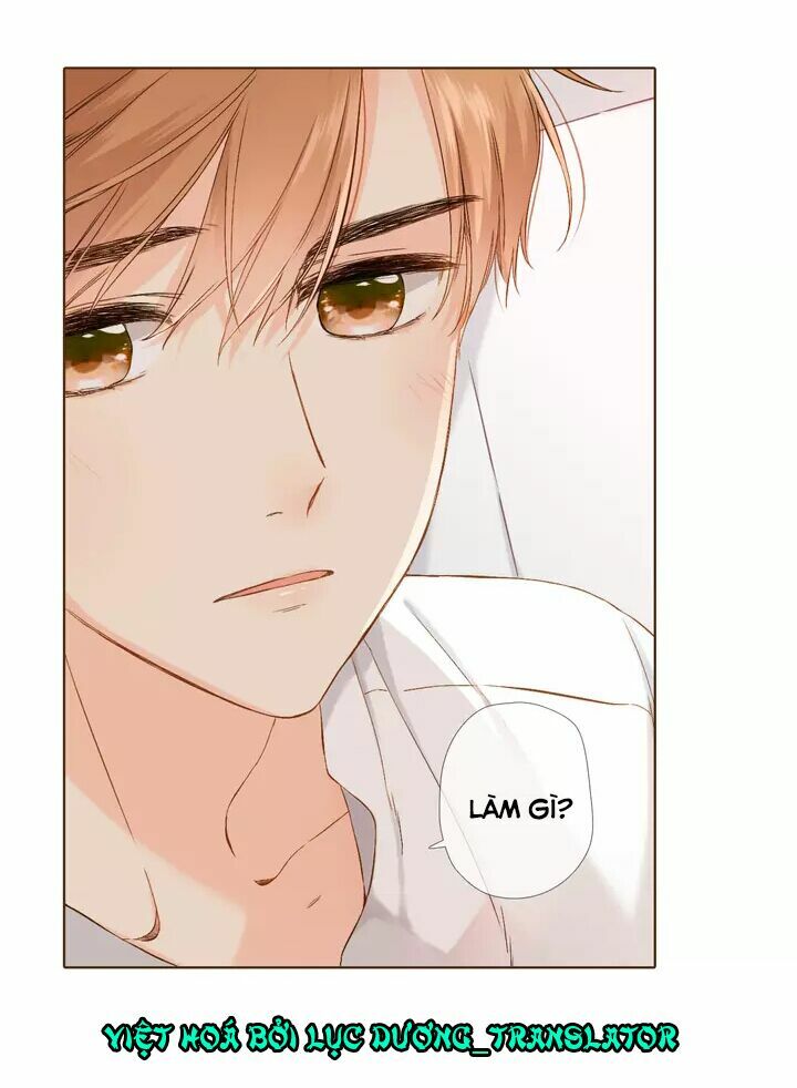 Tình yêu là màu hoa anh thảo chapter 34.2 25