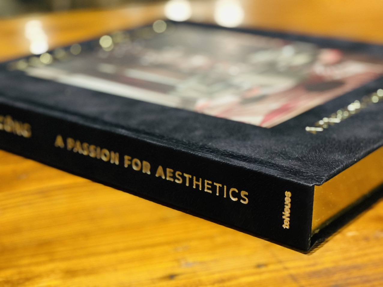 [Bìa vải sách ngoại văn, in màu toàn bộ]  THÁI CÔNG - A PASSION FOR AESTHETICS - Thái Công – teNeues – Phương Nam Books