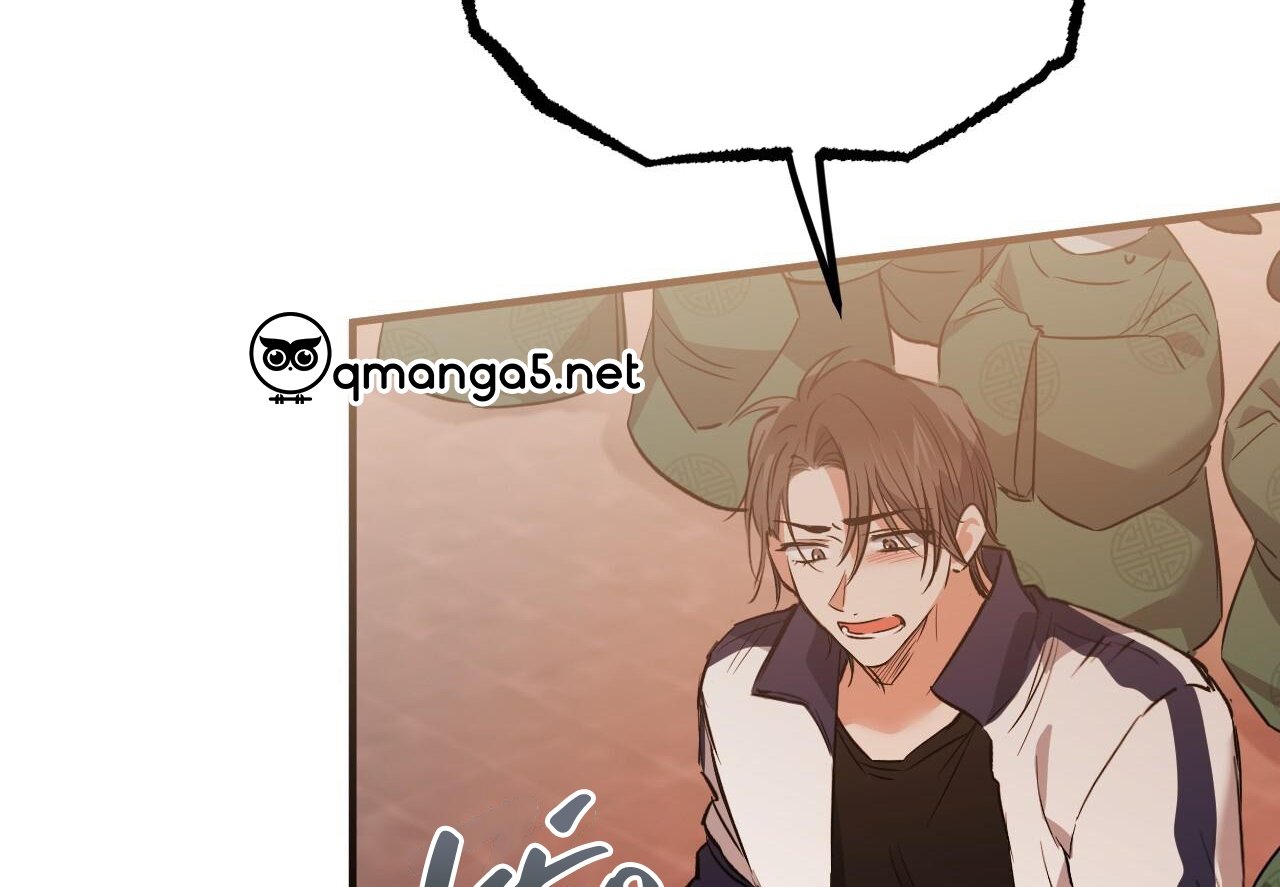 những chú thỏ của hapypy chapter 62 178