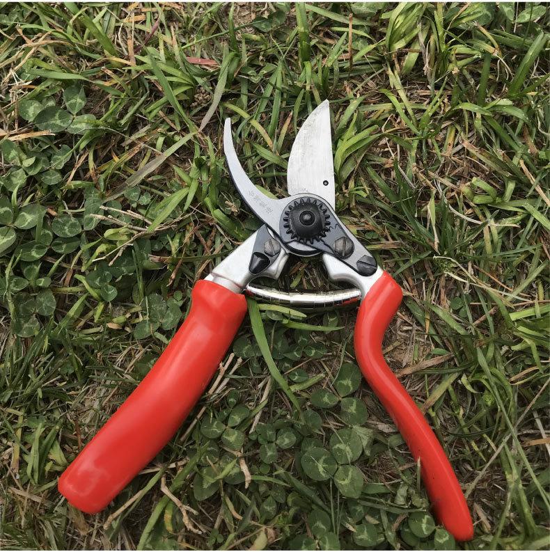 Thiết kế tay quay Kéo cắt cành cây ăn quả làm vườnNhật Bản