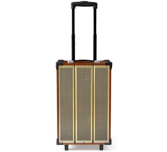 Loa kéo Arirang MKS1 300W Bass 30cm 12'' - Hàng Chính Hãng