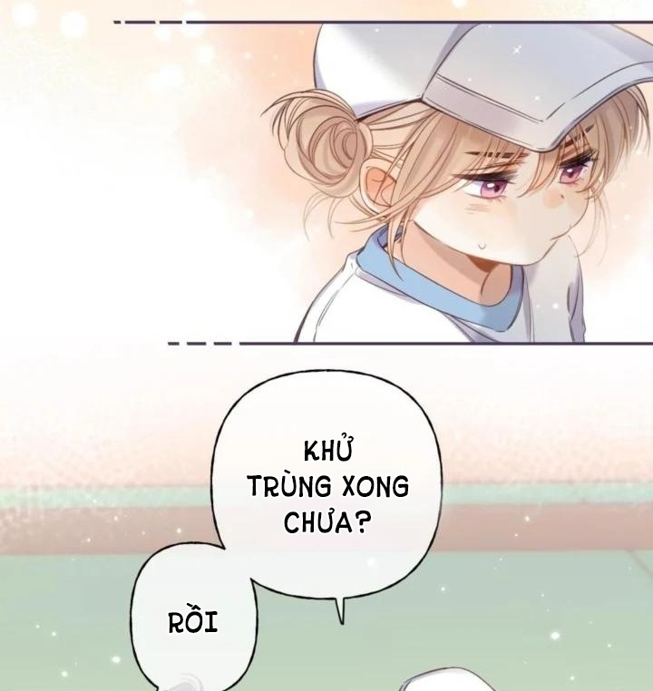 vụng trộm không thể giấu - mối tình thầm kín chapter 27 29