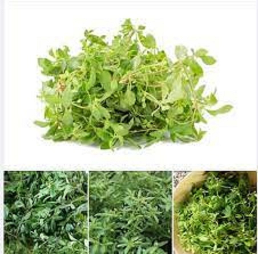 Phân Bón Đầu Trâu MK 20-20-15 Chuyên Rau màu - hoa, cây cảnh