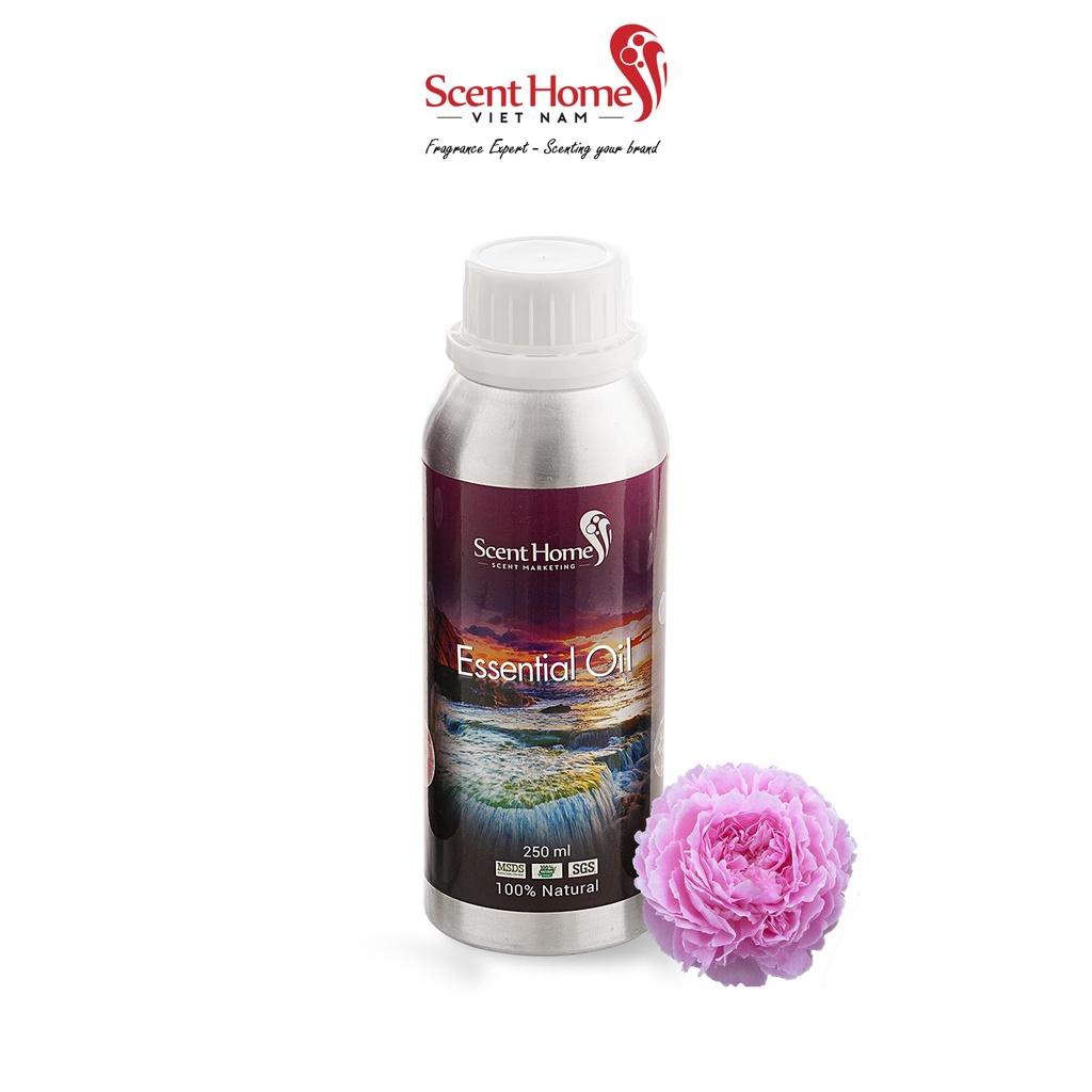 Tinh dầu Scent Homes - mùi hương