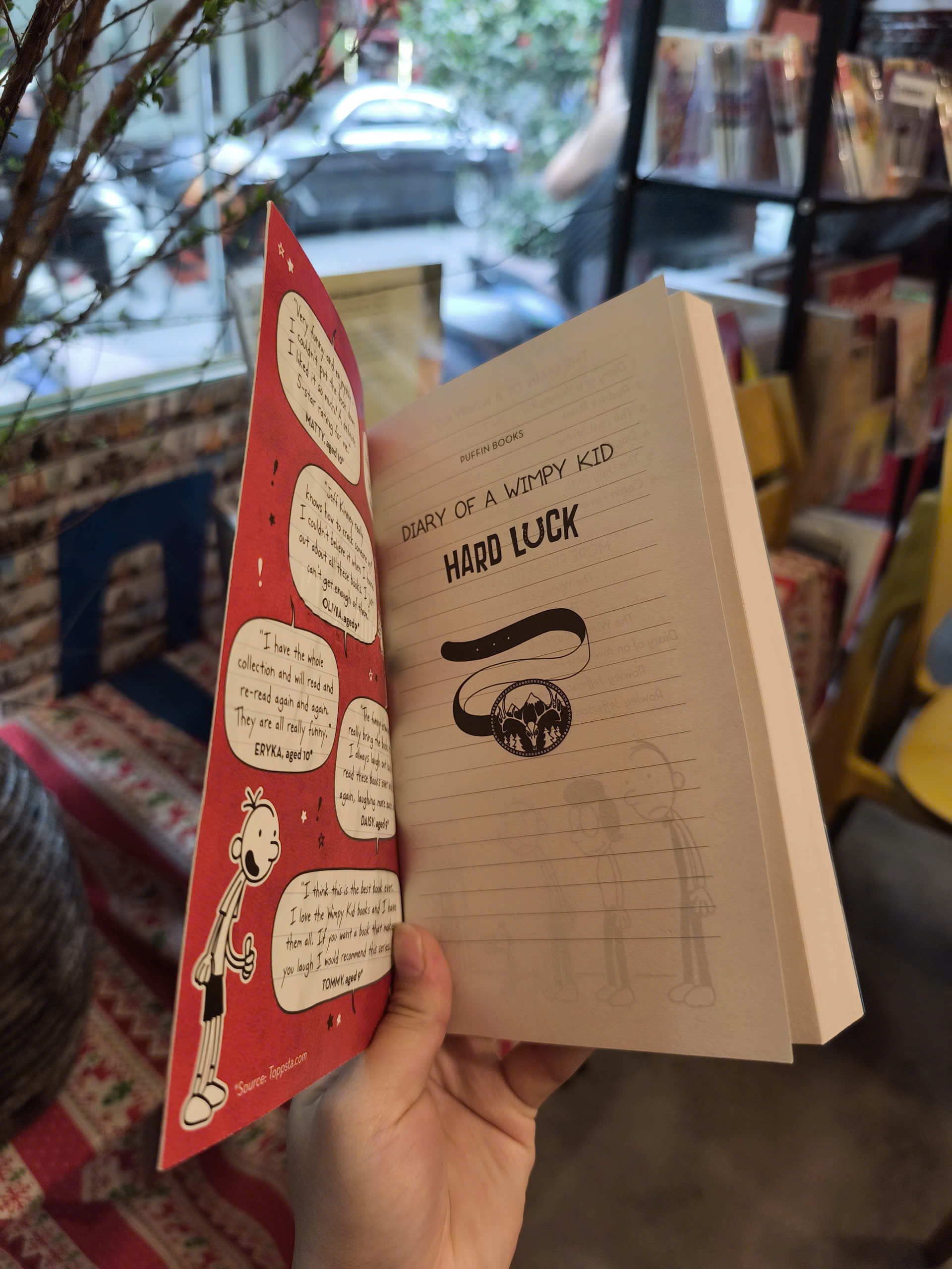 Sách - Diary of a Wimpy Kid: Hard Luck (Book 8) by Jeff Kinney - Fiction/Middle Grade/Humor