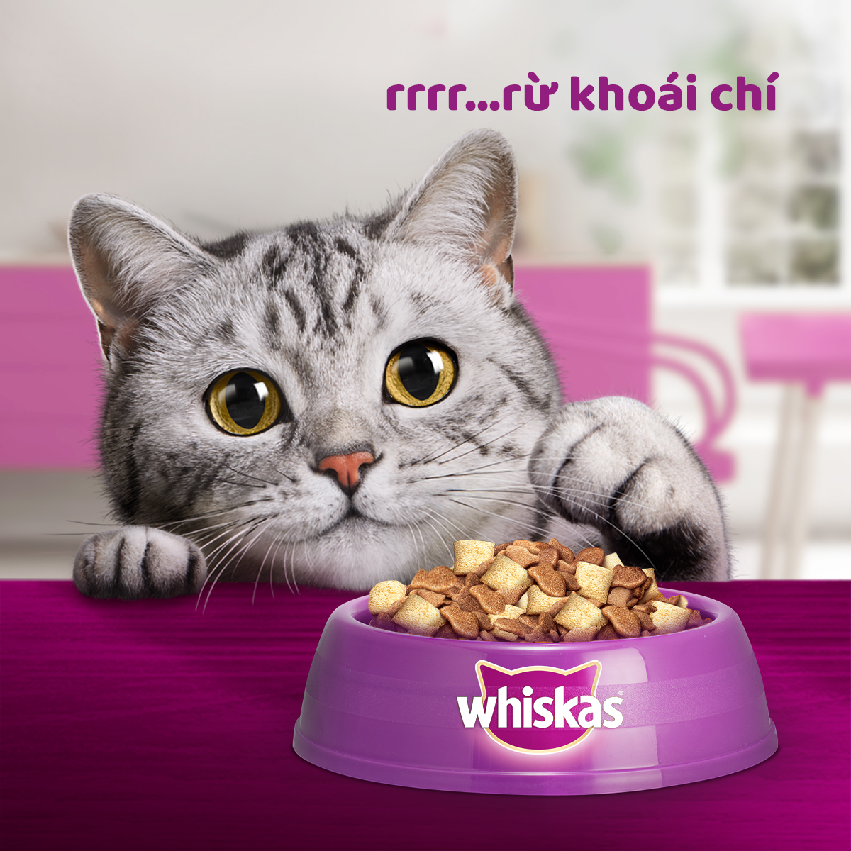 Hình ảnh Đồ Ăn Cho Mèo Con Whiskas Vị Cá Biển Và Sữa Dạng Túi 1.1 Kg