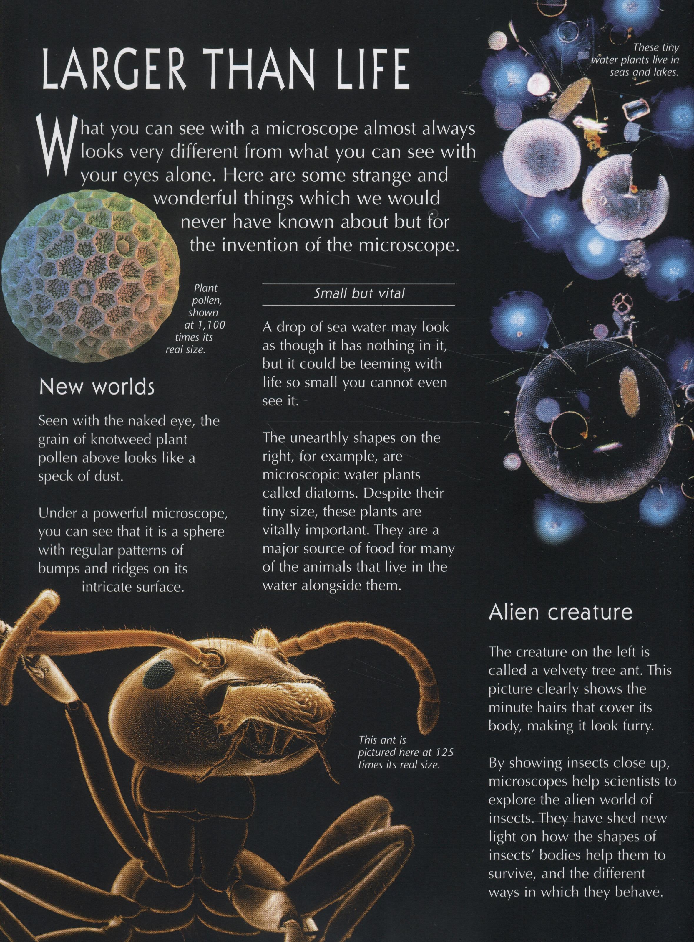 Sách ngoại văn: Complete Book Of The Microscope