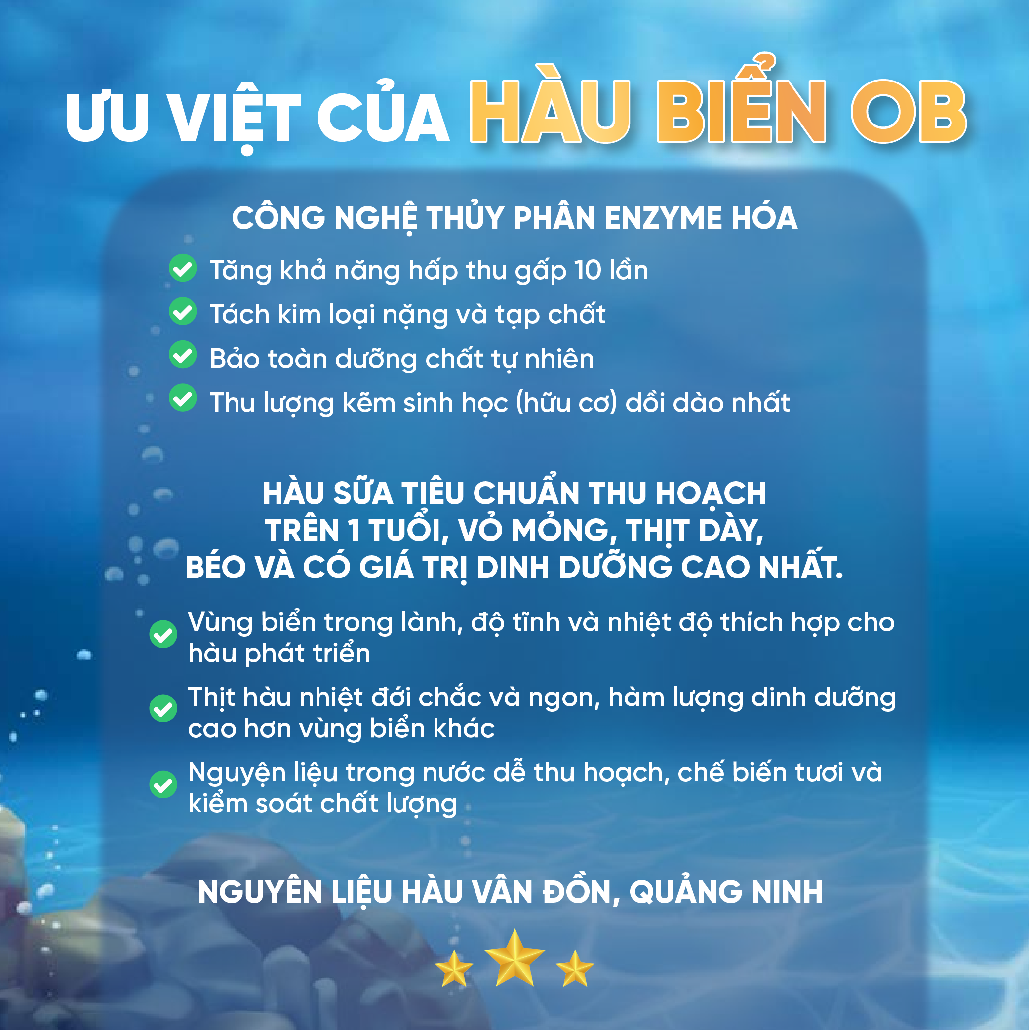 Thực Phẩm Chức Năng Tinh Hàu Biển OB - Tăng Cường Sinh Lý Nam Giới