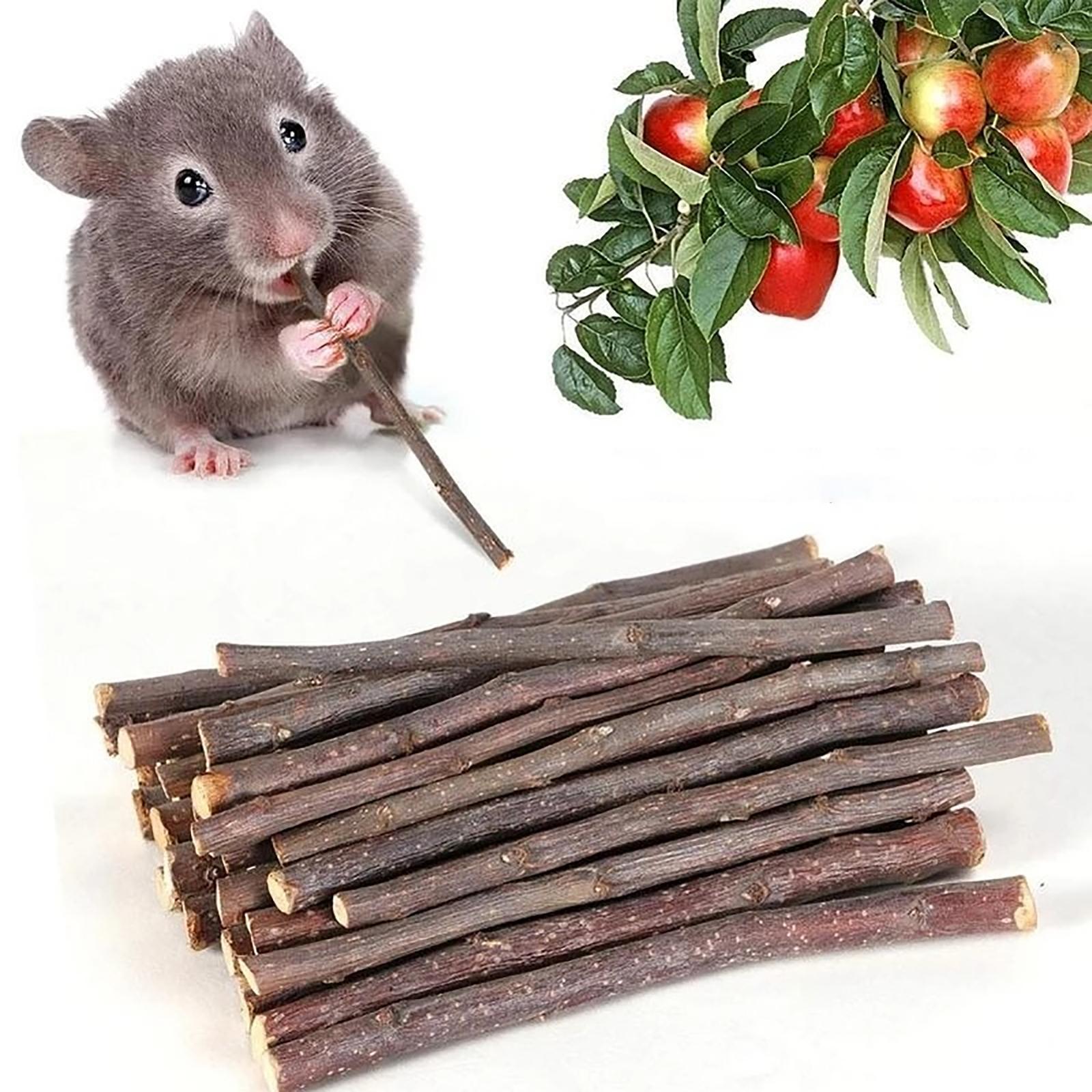 Wood Chew Sticks 1000g Hamster Groundhog Squirrels Rodent Animals