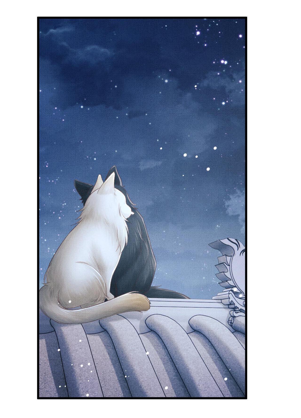 tướng quân luôn tự coi mình thành thế thân chapter 70 34