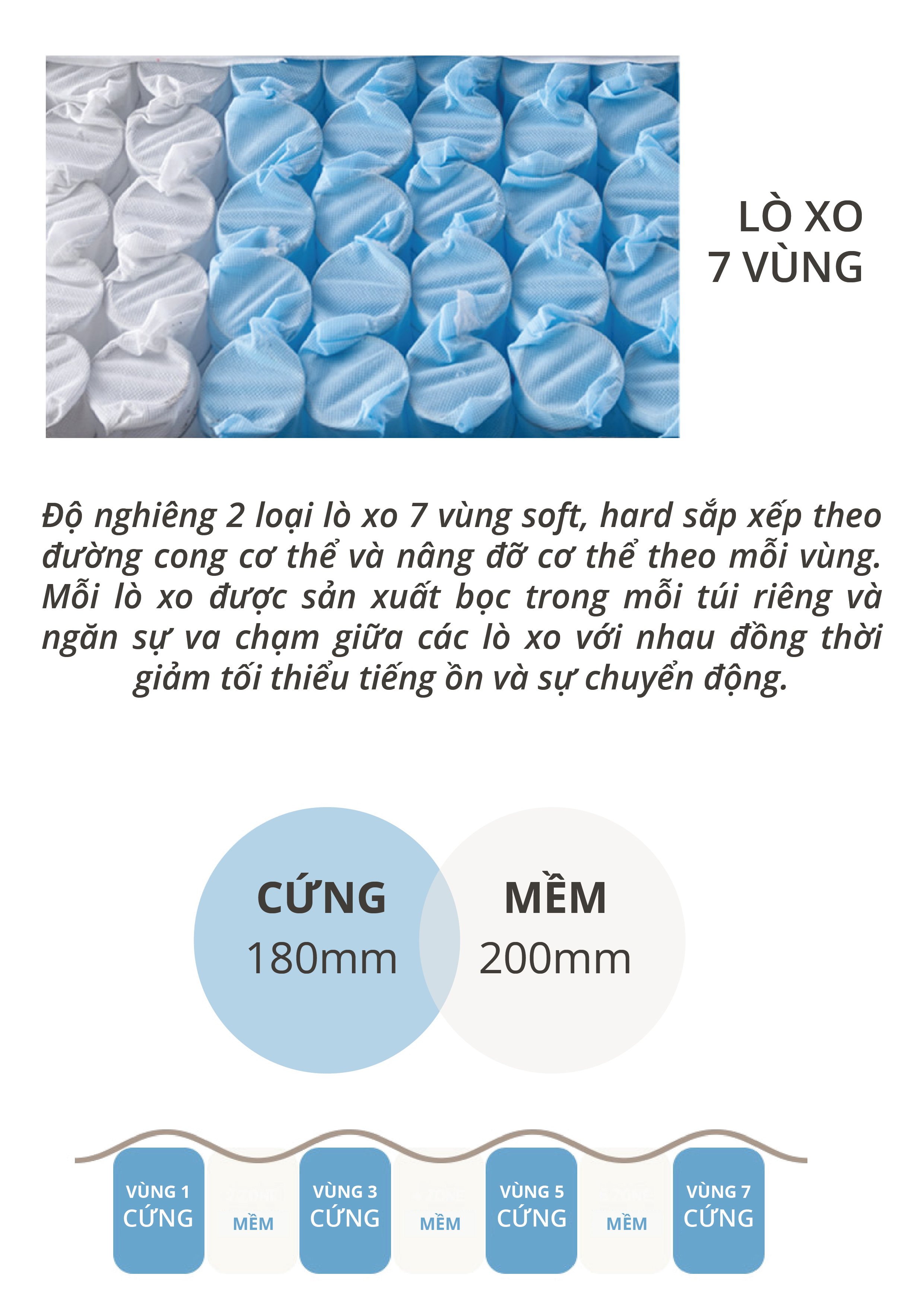 NỆM LÒ XO BEDIS BELUGA