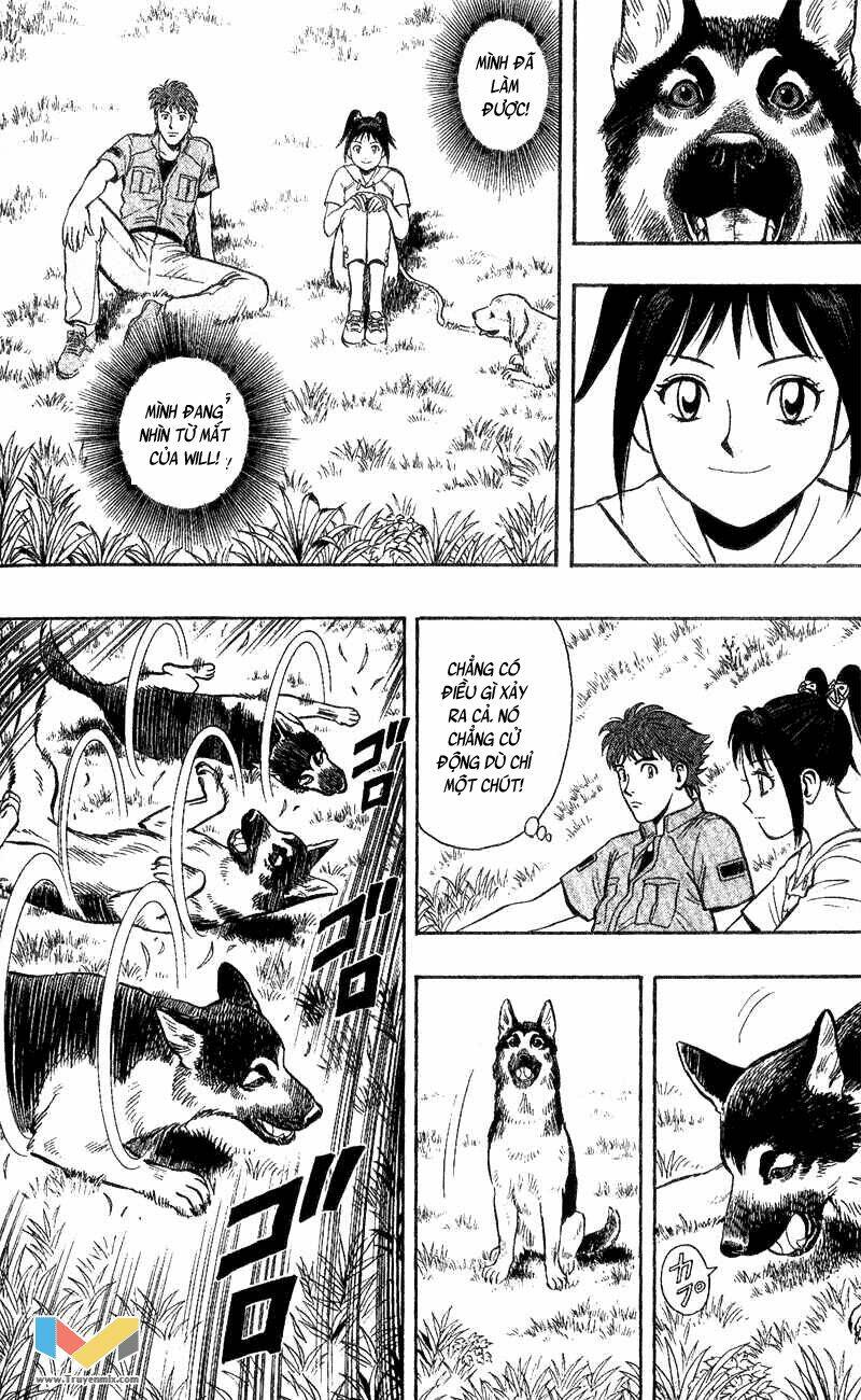 animal sense chapter 4 14