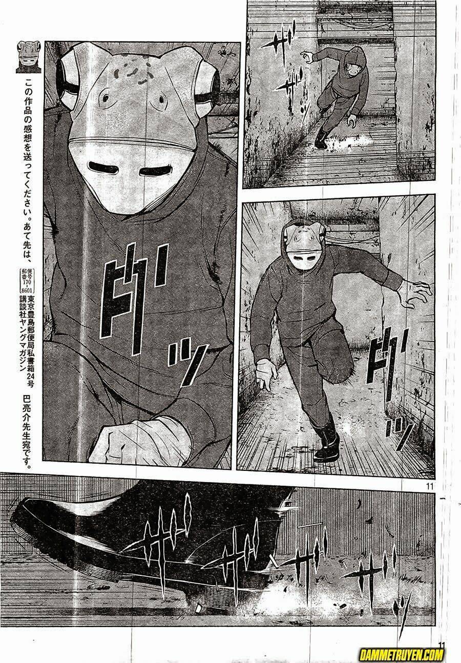 museum chapter 21 11