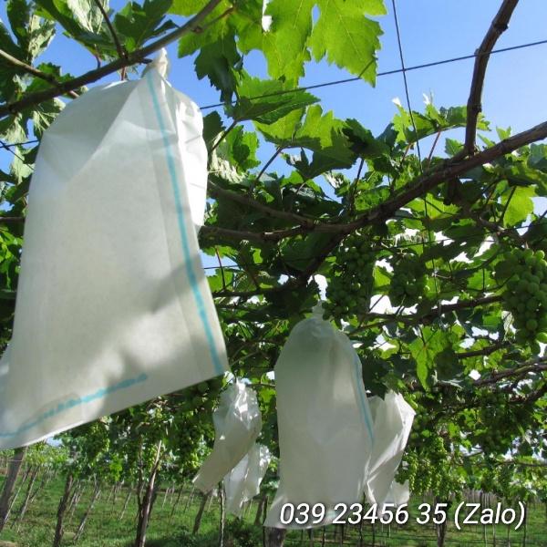 100 CÁI TÚI BAO, BỌC TRÁI NHO CHẤT LIỆU VẢI TỐT KÍCH THƯỚC 25*35