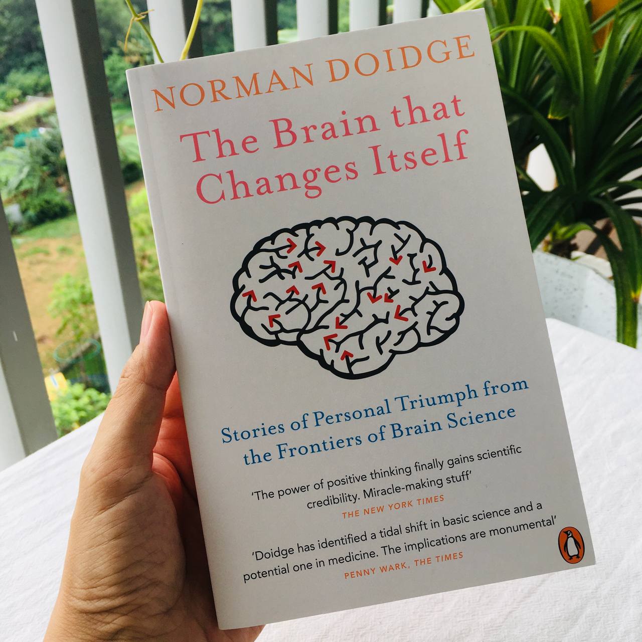 The Brain That Changes Itself : Stories of Personal Triumph from the Frontiers of Brain Science