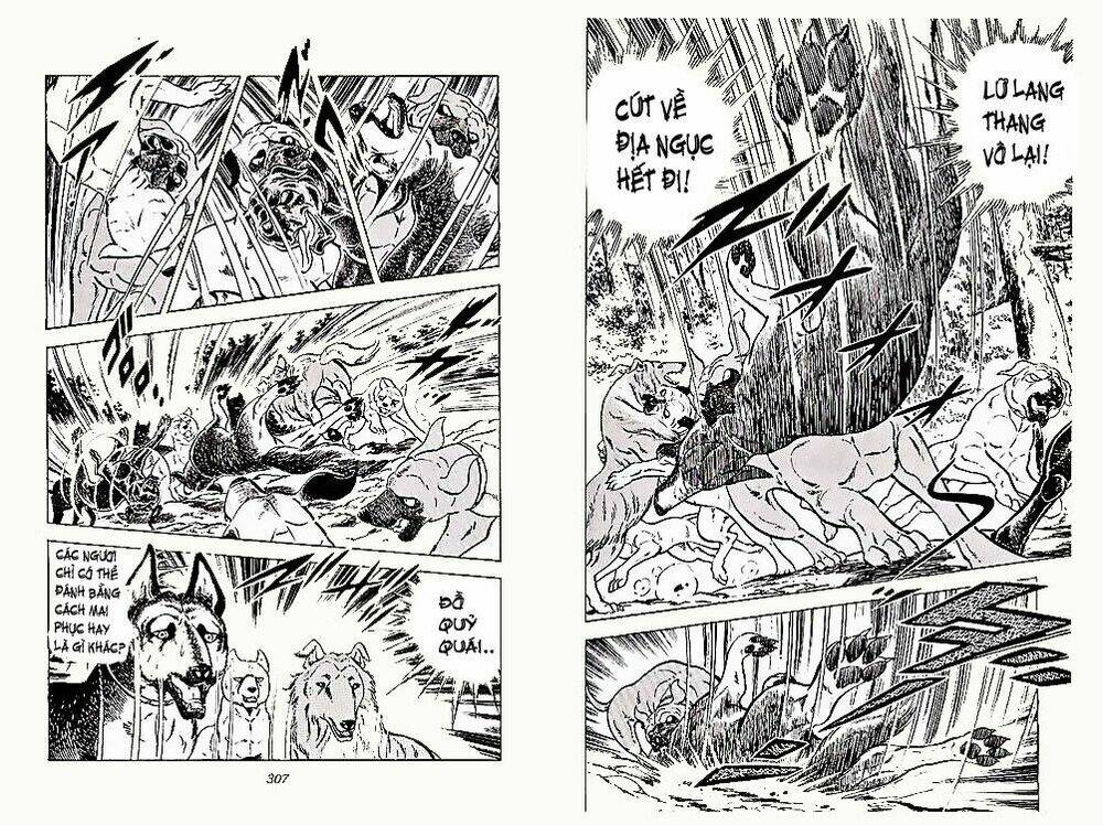 chú chó có nghĩa - ginga nagareboshi gin chapter 23 17