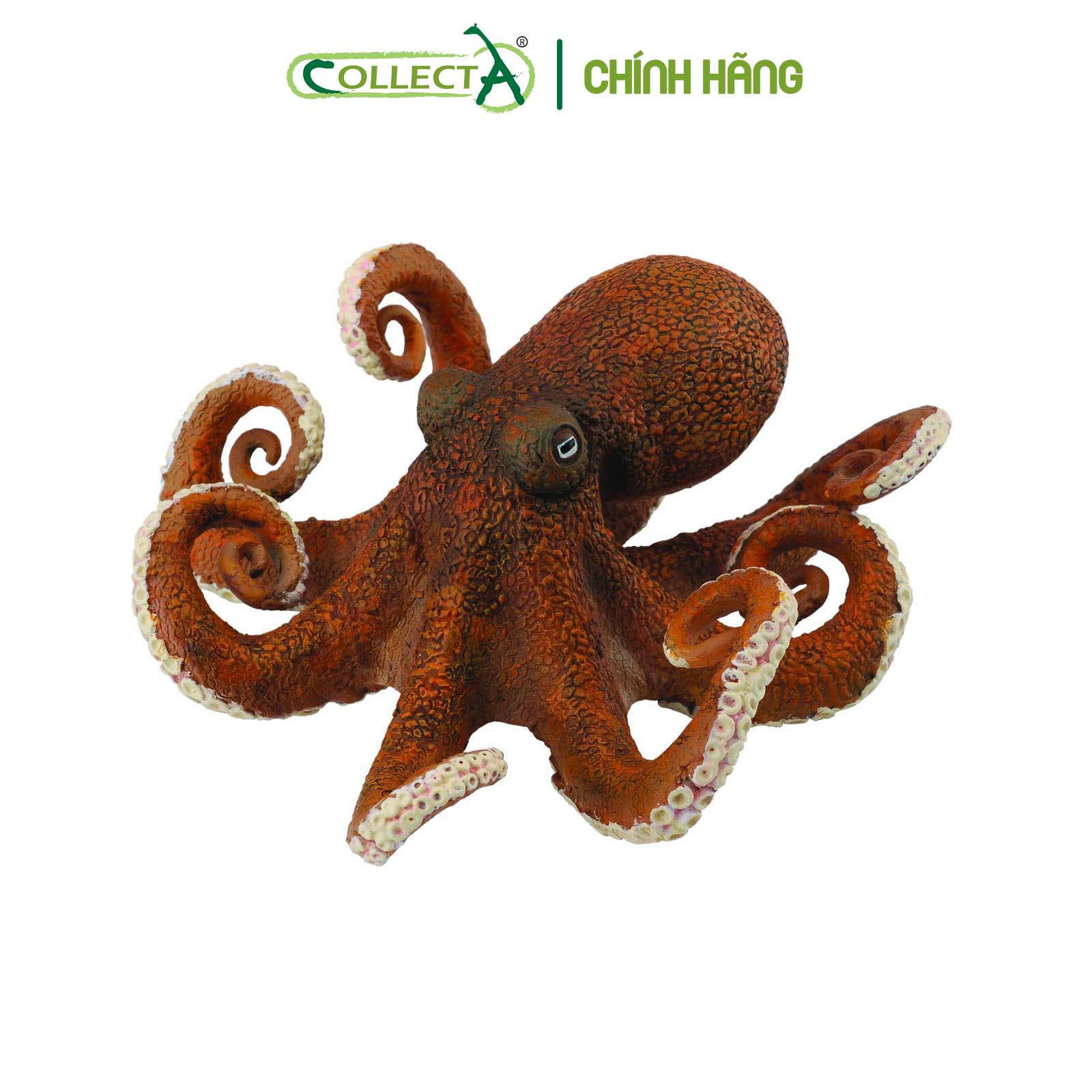 Mô hình thu nhỏ: Bạch Tuộc - Octopus, hiệu: CollectA, mã HS 9652150[88485] -  Chất liệu an toàn cho trẻ - Hàng chính hãng